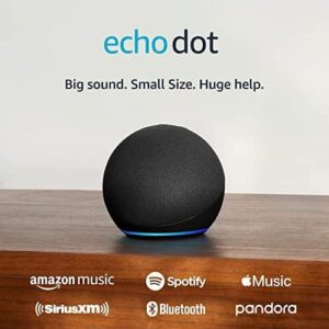 Exploring Our Echo Dot: A Symphony in Every Room